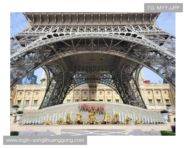 澳门巴黎人官网登录流程详解及常见问题解决方案推荐